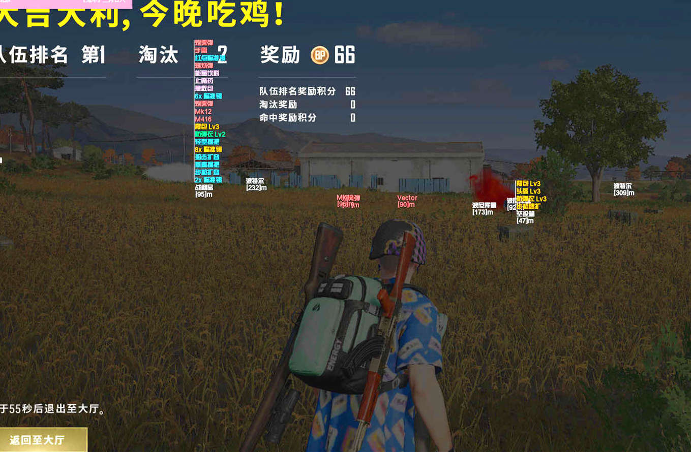 PUBG-FX辅助