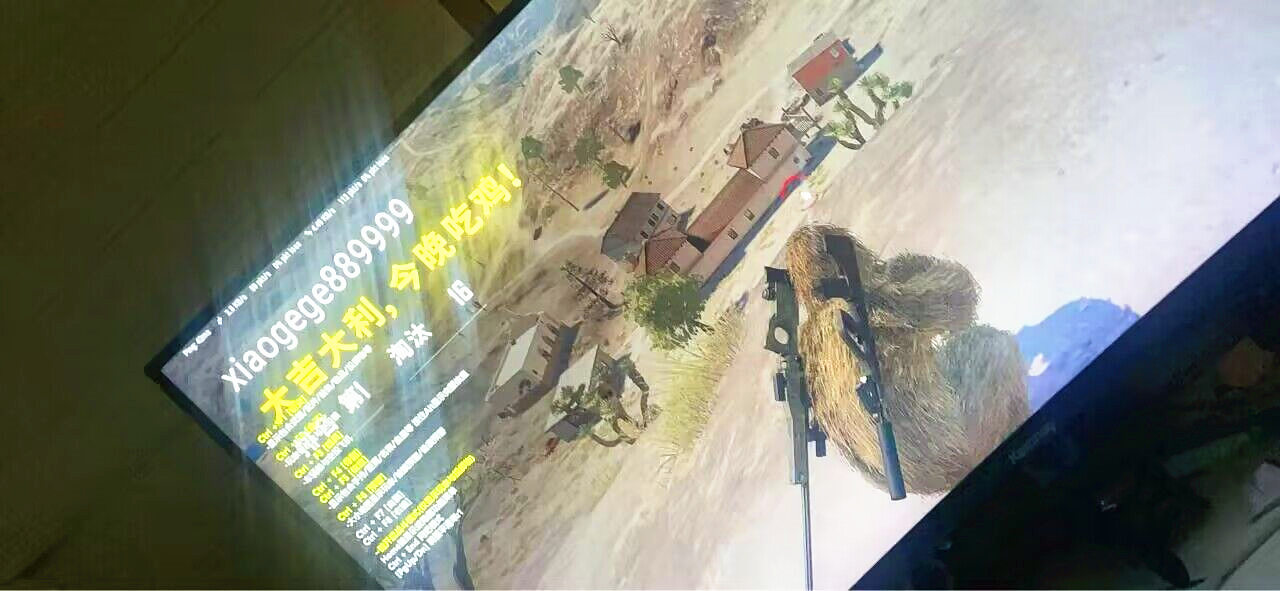 PUBG丫丫辅助效果图